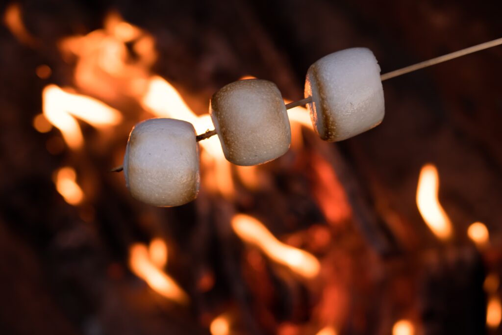 marshmallow barbecue summer evening outdoors. sweet treat for children and adults