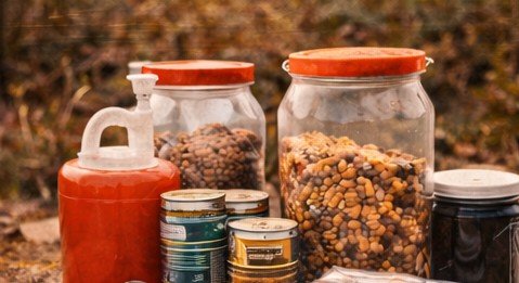 Food & Nutrition