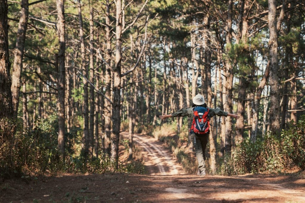 Wilderness trail in the Ouachita Mountains, Arkansas