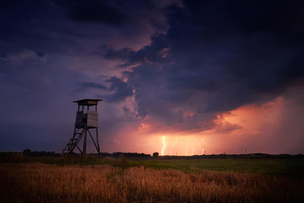 Hunter's ambush in the stormy field