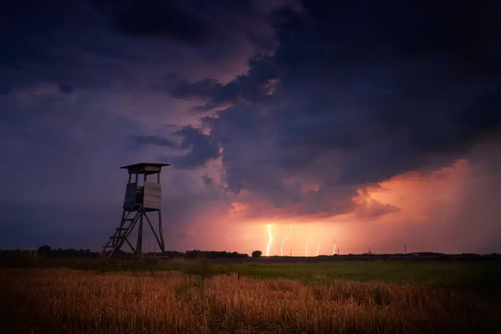 Hunter's ambush in the stormy field