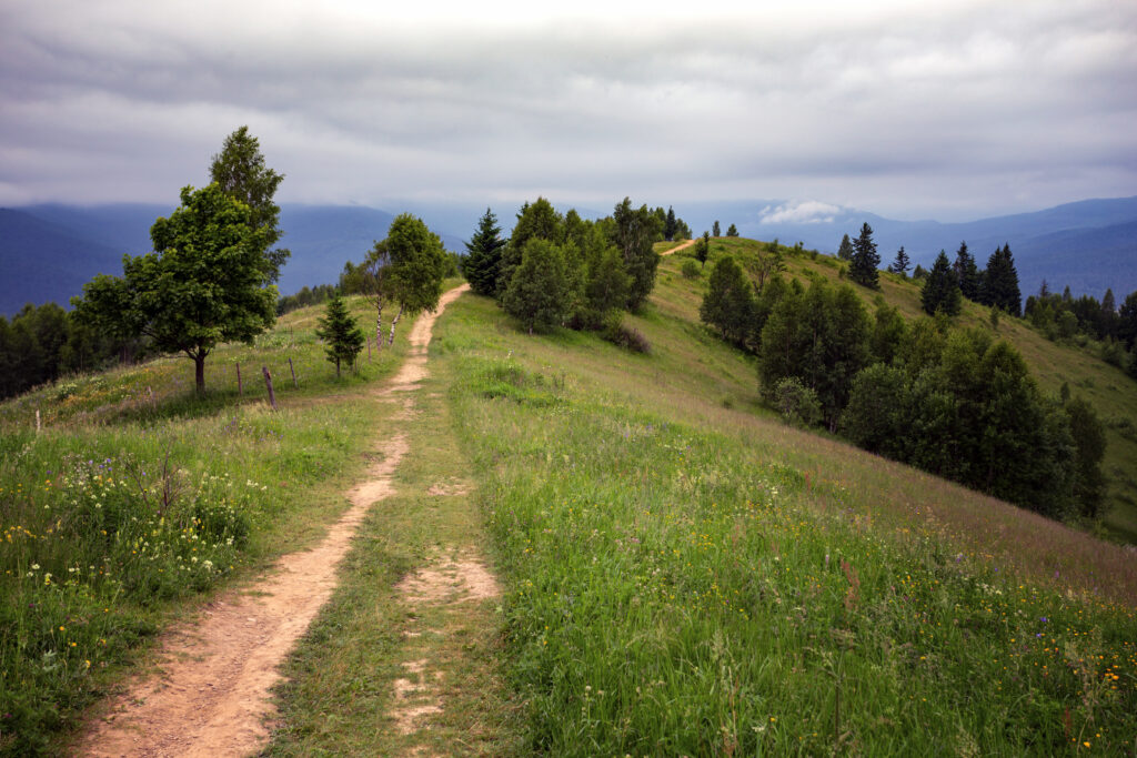 Vorokhta - Ukrainian landscape. view of the path at the mountains in Carpathians, Ukraine