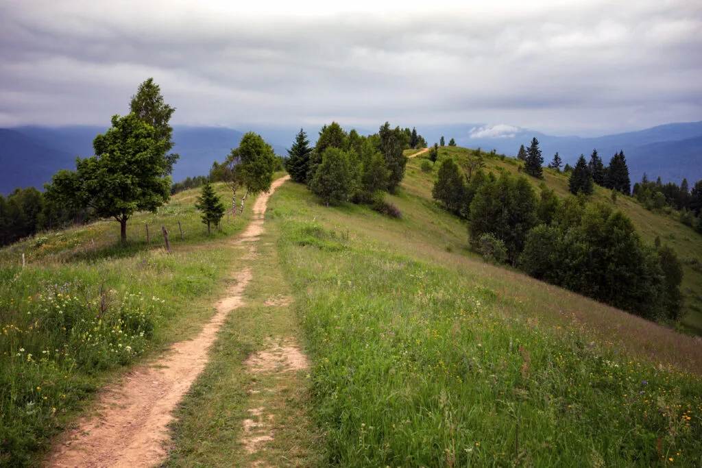 Vorokhta - Ukrainian landscape. view of the path at the mountains in Carpathians, Ukraine