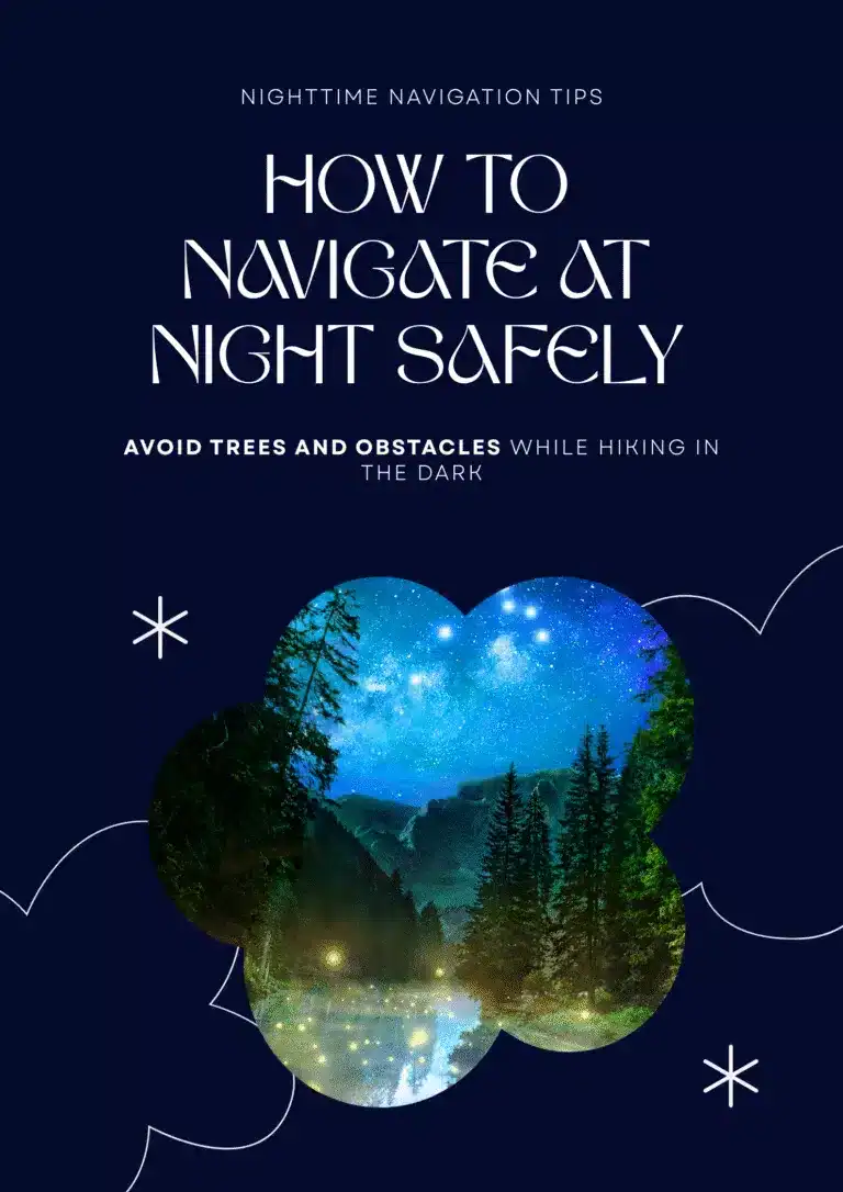 Nighttime forest landscape with stars and a lake, illuminated by small lights, perfect for outdoor adventures and camping under the night sky.