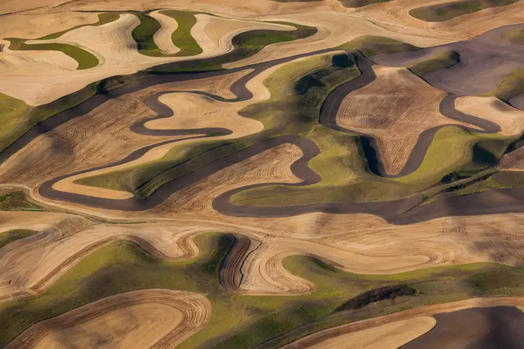 Farmland landscape, with ploughed fields and furrows in Palouse, Washington, USA. An aerial view with natural patterns.