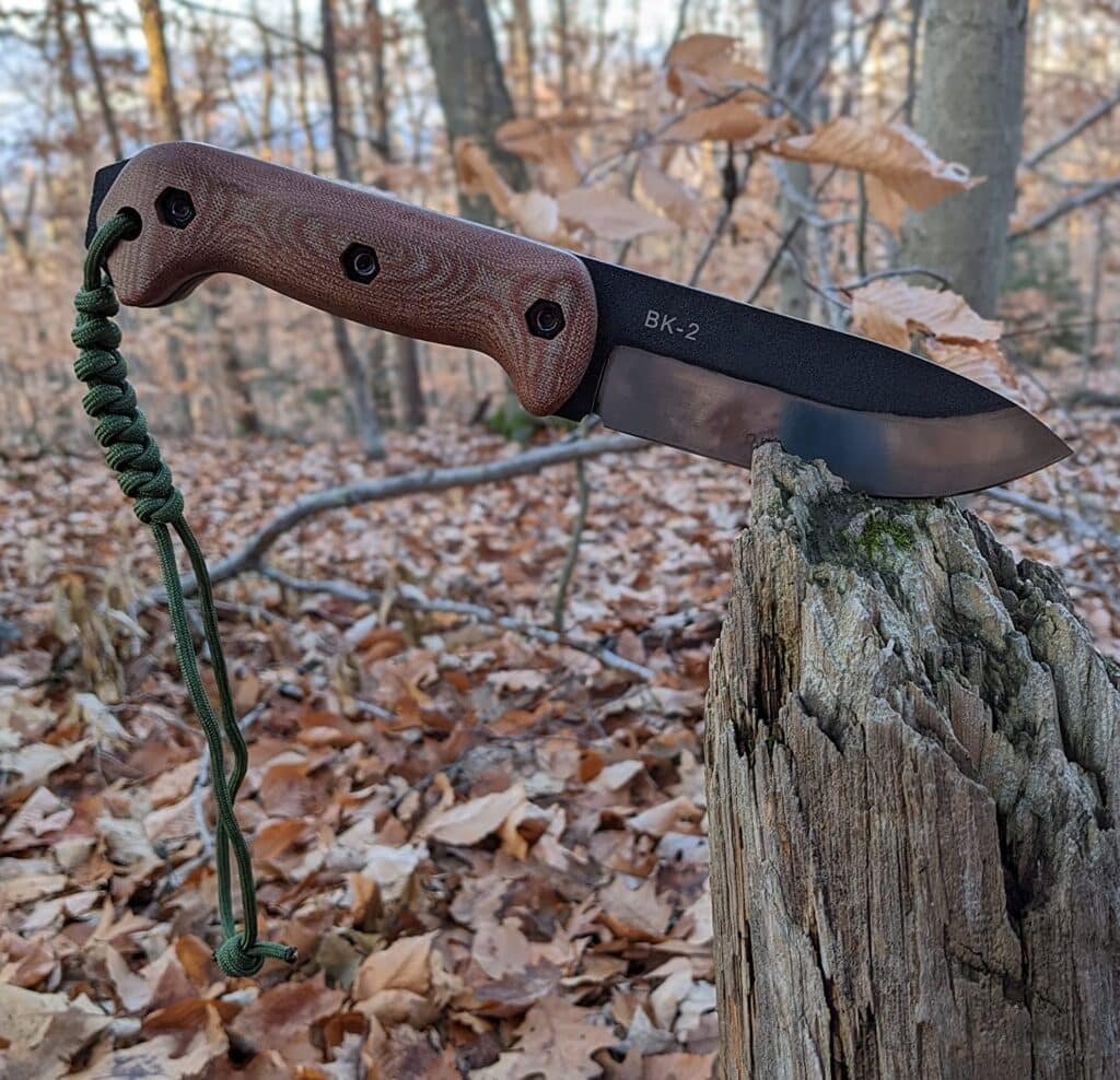 High-quality outdoor knife with wooden handle and black blade embedded in a tree stump during fall in the forest. Perfect for camping, survival, and bushcraft activities in nature.