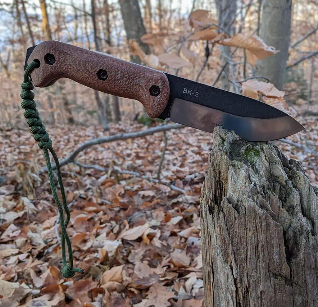 High-quality outdoor knife with wooden handle and black blade embedded in a tree stump during fall in the forest. Perfect for camping, survival, and bushcraft activities in nature.