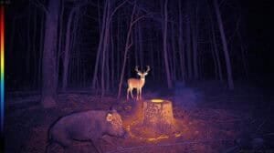 how to use a thermal scope