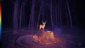 how to use a thermal scope