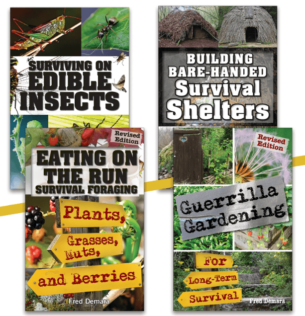 Insect survival tips, edible insect eating guide, foraging, and insects as food, eco-friendly protein sources, sustainable eating.