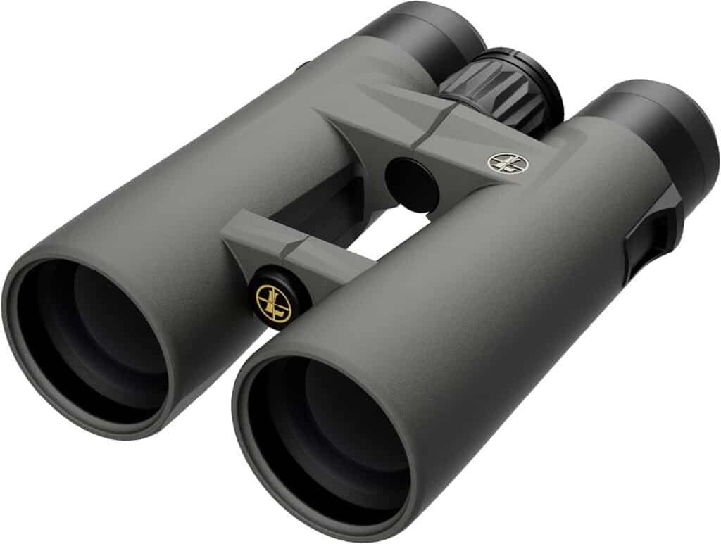 Leupold BX-4 Pro Guide HD Binoculars, 10x50mm Gen 2 (184762)