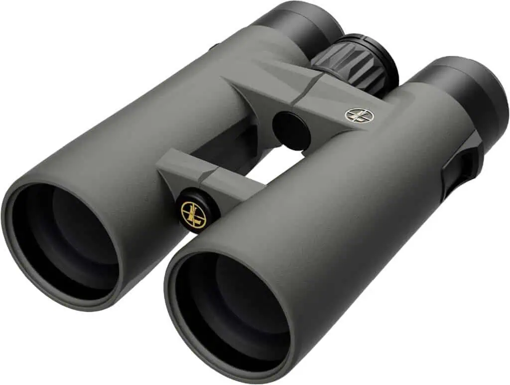 Leupold BX-4 Pro Guide HD Binoculars, 10x50mm Gen 2 (184762)