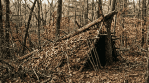 Natural Shelter